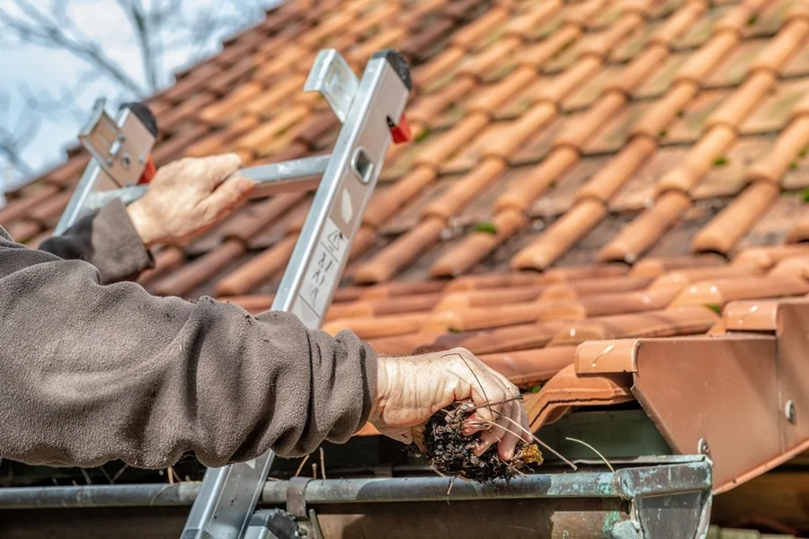 Why Professional Gutter Cleaning Is A Smart Investment For Homeowners Stroudsburg, PA