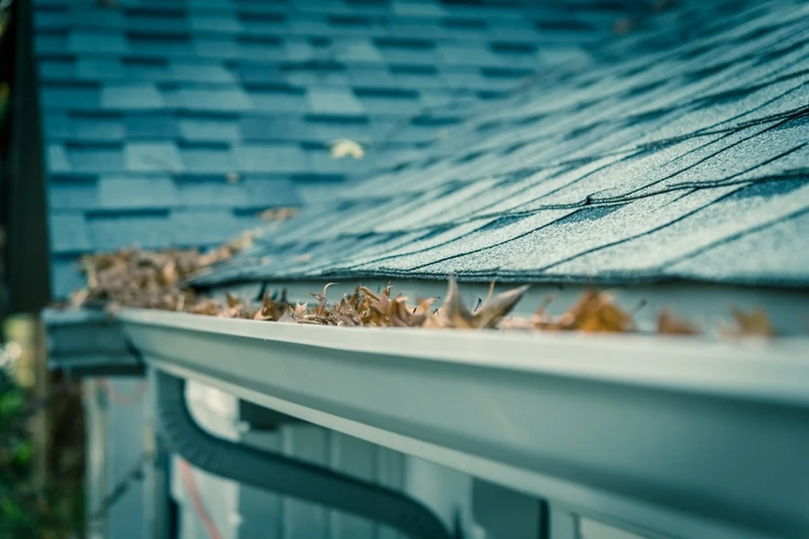 Why Professional Gutter Cleaning Is A Smart Investment For Homeowners in Stroudsburg, PA