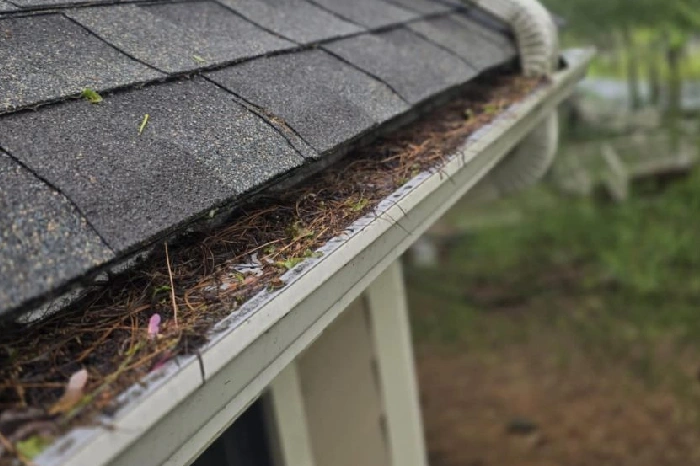 Gutter Cleaning Service